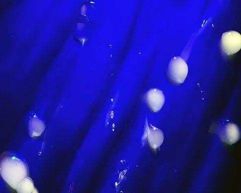 mist-filled bubbles grow out of A.A.murakami’s SYMBIOSIS installation for BMW at art basel