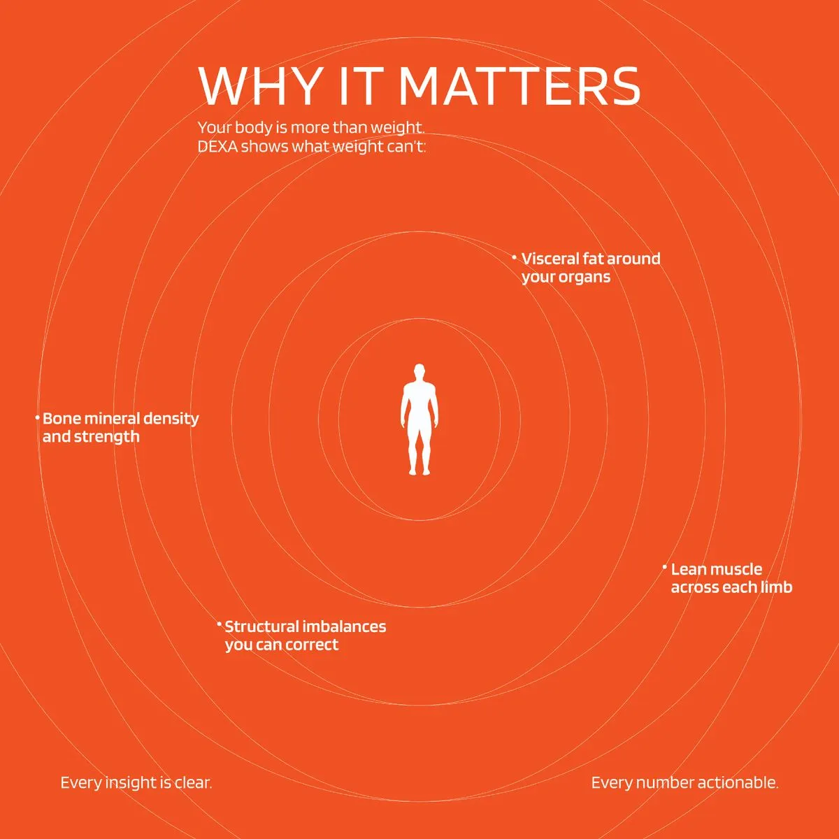 Vital Insights - Branding the Future of Health, application 1