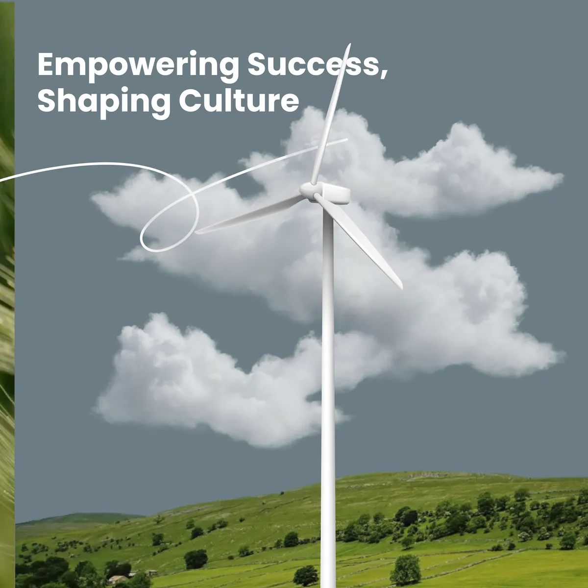 SQN - Building a Brand for a Sustainable Future., application 2