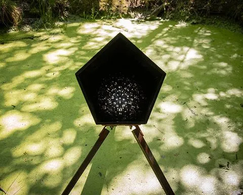 teresa van dongen rethinks design through living systems