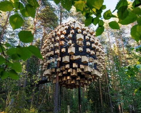 who gets to live in the wall? architecture makes room for nonhuman residents