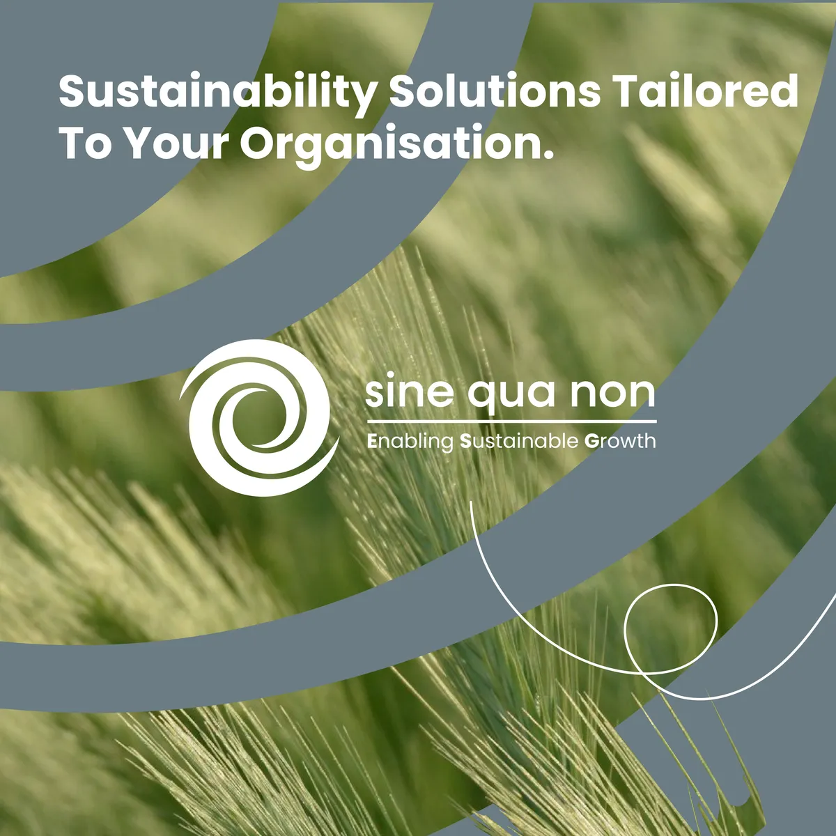 SQN - Building a Brand for a Sustainable Future., application 1
