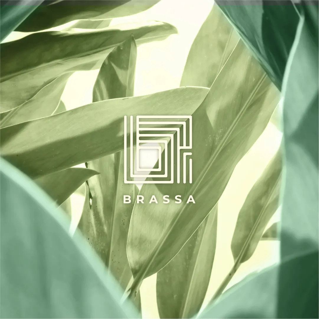 Brassa, image 1