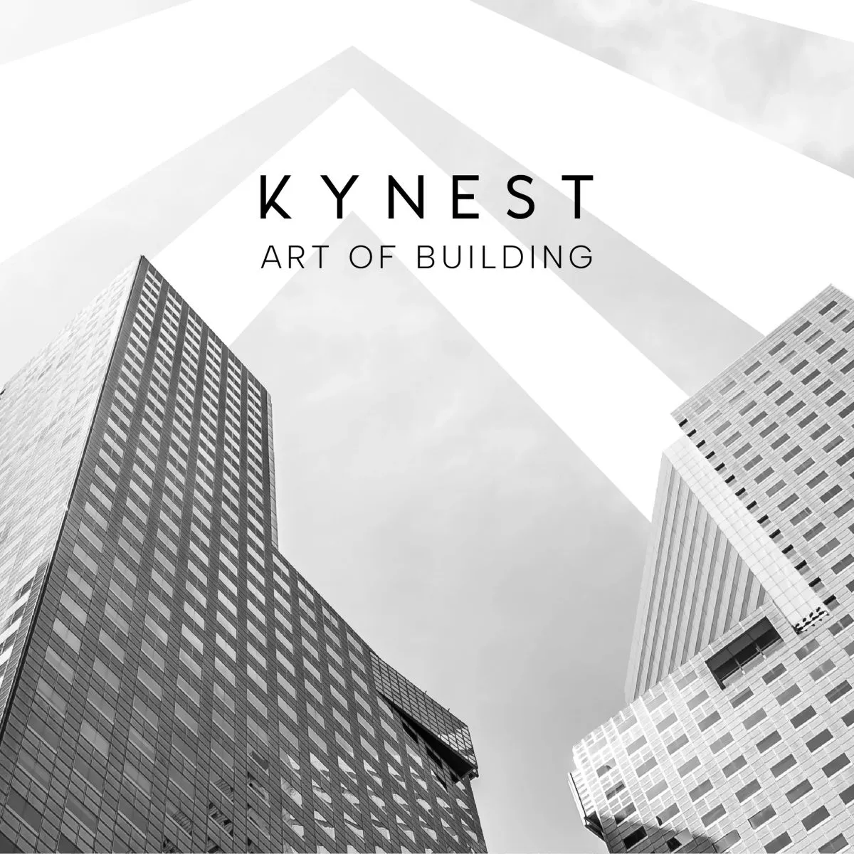 Kynest: A Bold Vision in Real Estate, application 3