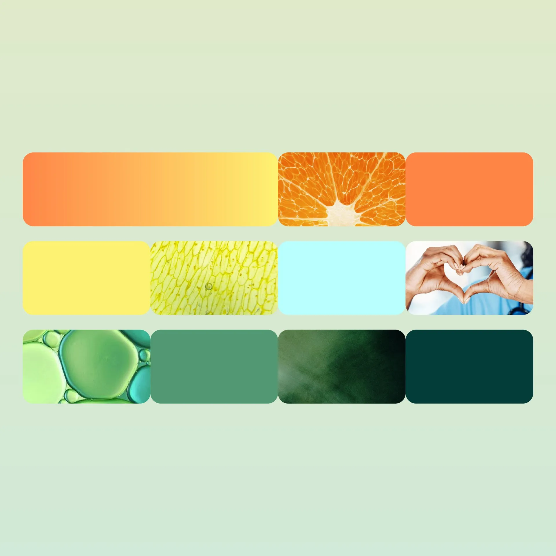 Dr.Pal's NewME - A New Vision for Doctor Led Health Care, featured image