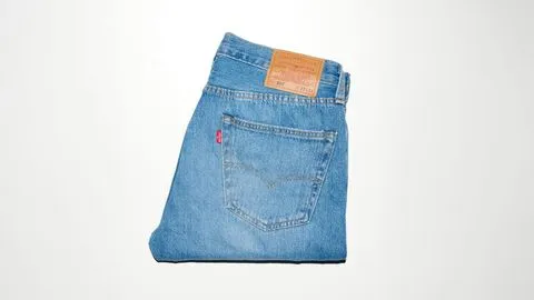 Anatomy of a logo: Levi’s Two Horse Patch