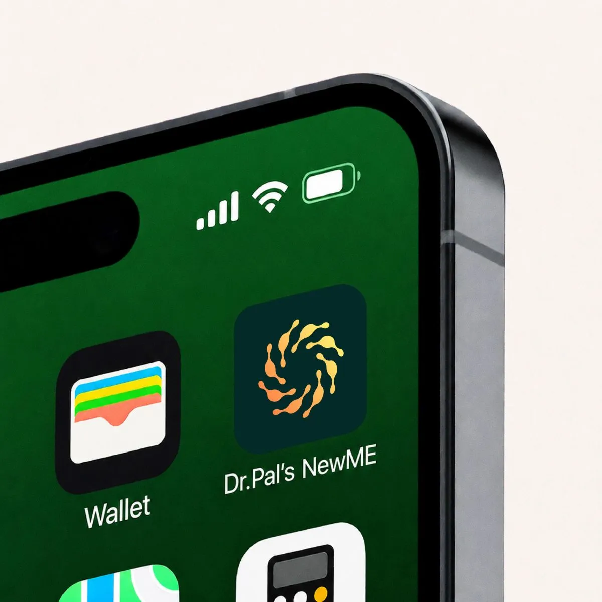 Dr.Pal's NewME - A New Vision for Doctor Led Health Care, application 3