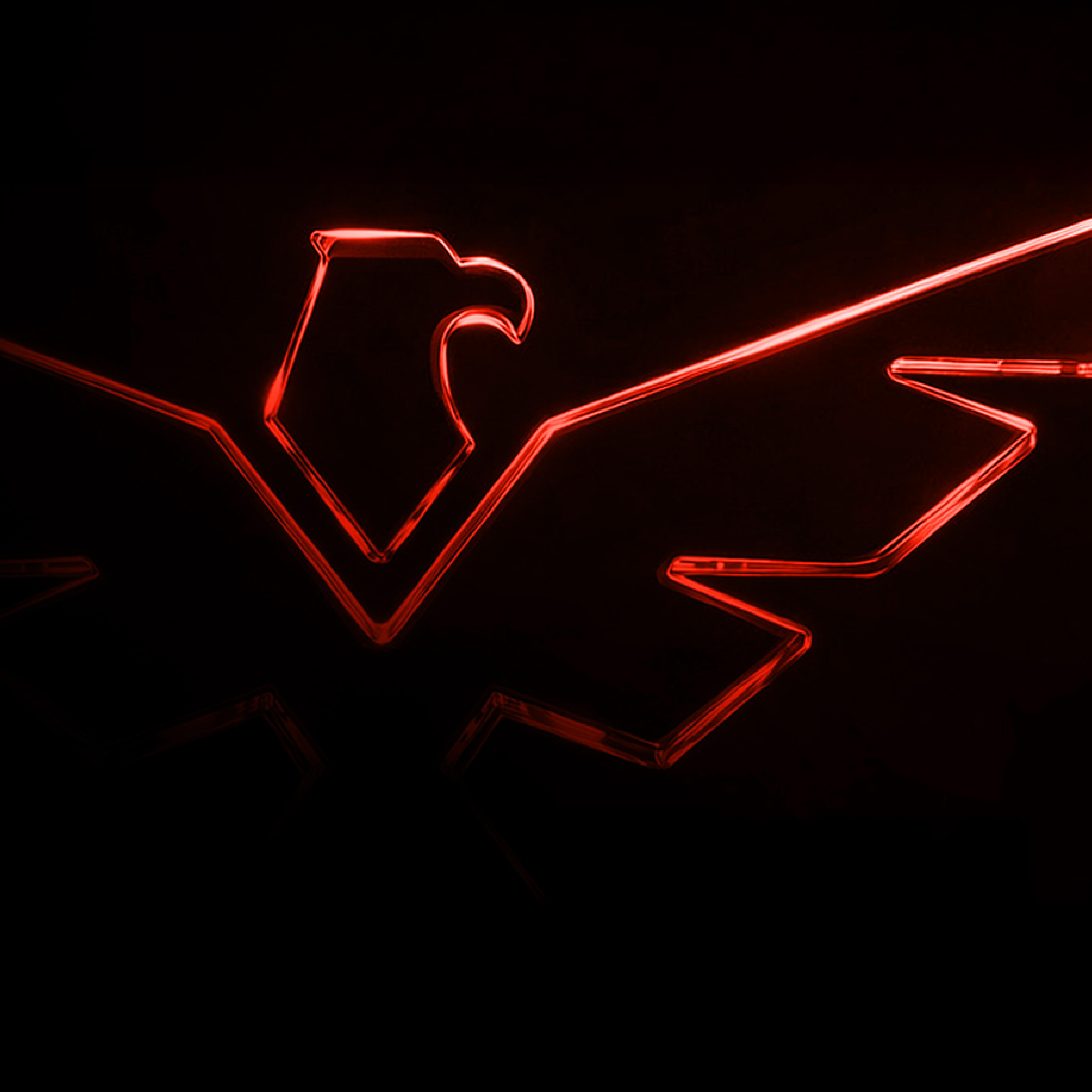 Invictus Performance Lab, fitness brand identity and digital systems by NOW Media, showcasing the studio cross-discipline build approach used for AI automation engagements